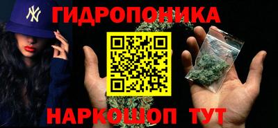 гидра Партизанск