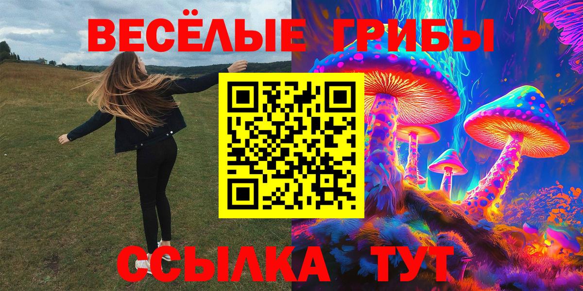 Солнечногорск  Галлюциногенные грибы Magic Shrooms  Вход с VPN 