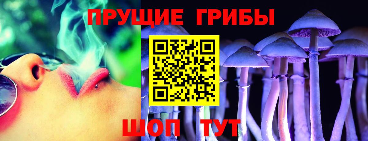 Галлюциногенные грибы Cubensis Солнечногорск